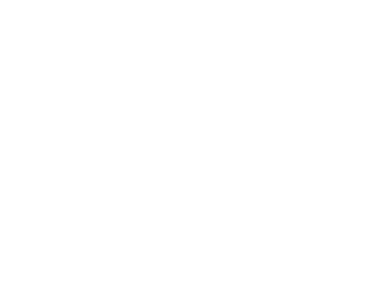 DS